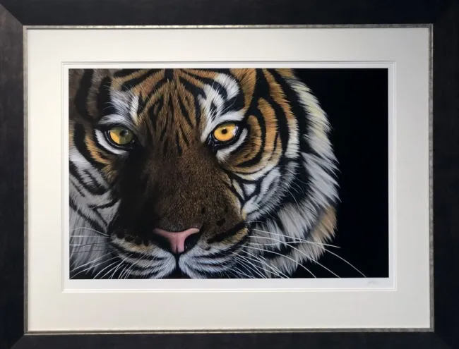 Tiger Eyes