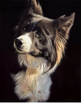 Tommy - Original - Framed