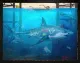 Under The Pier - Original - Framed