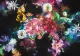 Velvet Blooms - Mounted