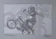 Viva Kidnievel - Sketch - Mounted