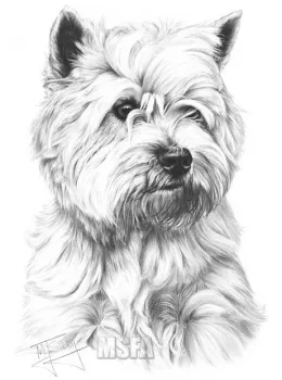West Highland White Terrier - Print only