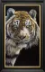 What's New Pussycat - Canvas - Black Framed
