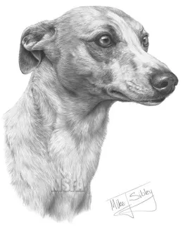 Whippet - Print only