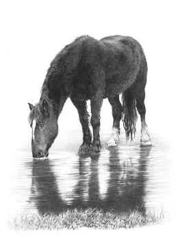 Winter Thaw - Print