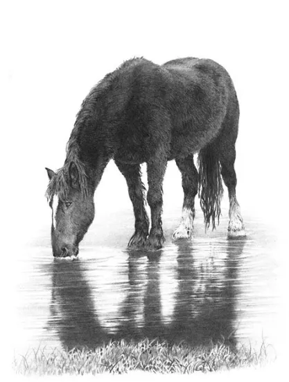 Winter Thaw - Print Winter Thaw - Print