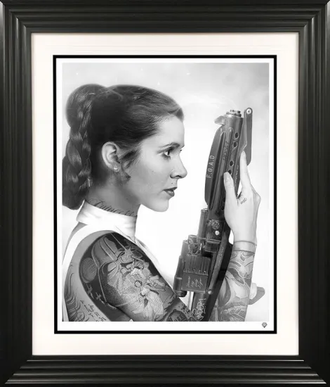 Your Worshipfulness - Princess Leia