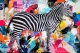 Zebra Lounge - Board Only