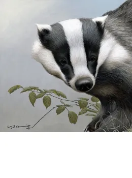 Badger - British Wildlife Series - Board With Slip