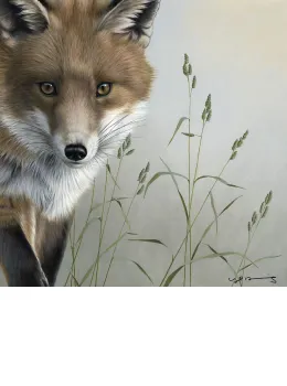 Fox - British Wildlife Series - Board With Slip