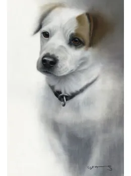 Jack Russell - Mounted