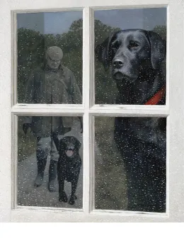 Reflections - Board Only