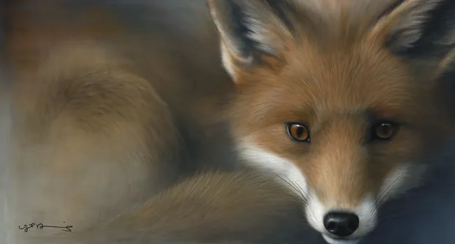 Vixen Vixen