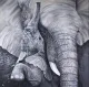 A Mother's Love - Mounted