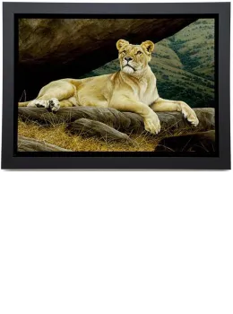 African Queen - Framed Box Canvas