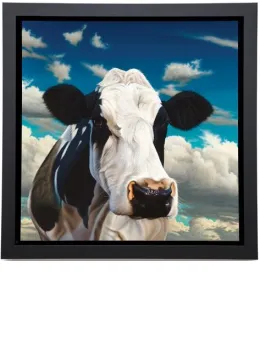 Angelina - Framed Box Canvas