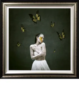 Attached - Deluxe - Framed