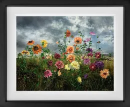 Autumn - Limited Edition - Black Framed