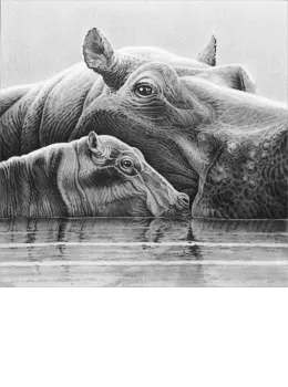 Baby Love - Hippos - Print