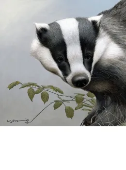 Badger - British Wildlife Series - Original - Framed