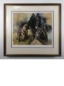 Belgium Shepherds - Brown Framed