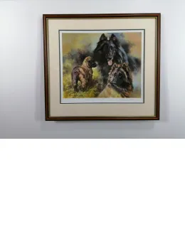 Belguim Shepherd - Brown Framed