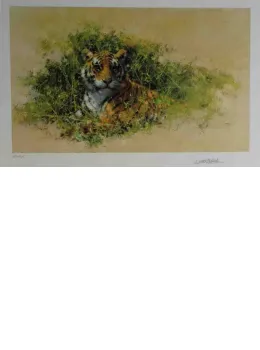 Bengal Tiger - Dark Wood Framed