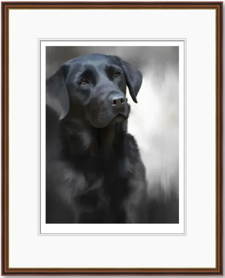 Black Labrador (40th Anniversary Image) Black Labrador (40th Anniversary Image)
