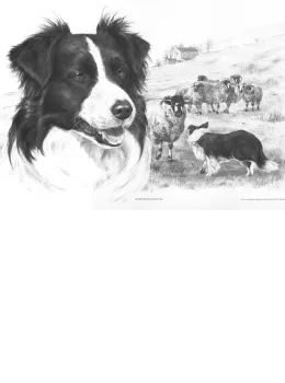 Border Encounter - Print