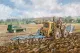 Bray Centaur - Canvas Edition - Box Canvas