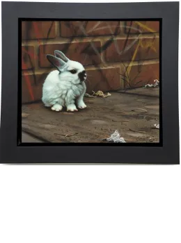 Bruiser - Framed Box Canvas