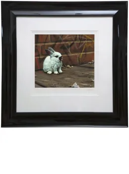 Bruiser - Paper - Framed