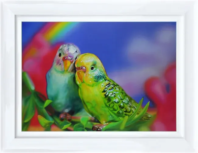 Budgie Love
