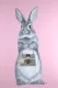 Bunny Girl - Gucci - Mounted