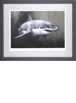 Carcharodon Charcharias - Grey Framed