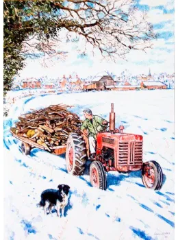 Carting Firewood With A B275 - Print