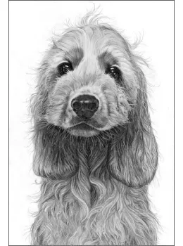 Cheeky Monkey - Cocker Spaniel - Print