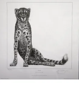 Cheetah - Mounted