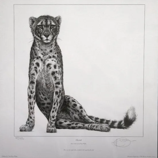 Cheetah - Mounted