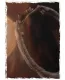 Circle Of Life - Picture - Print only