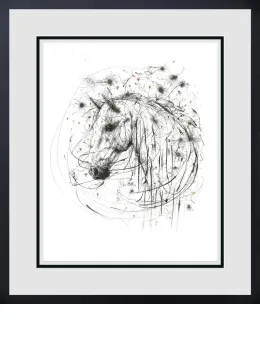 Cosmos - Black Framed