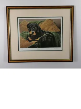 Couch Potato - Brown Framed