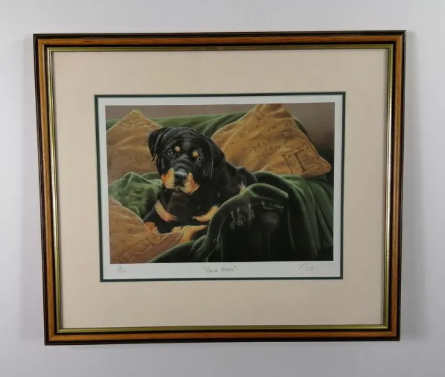 Couch Potato - Brown Framed