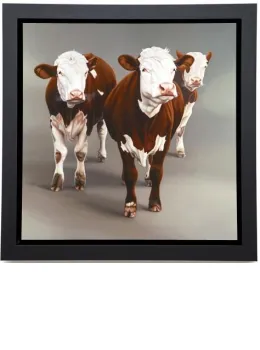 Cow Girls - Canvas - Black Framed - Framed Box Canvas