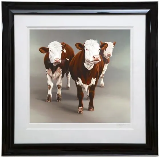 Cow Girls 