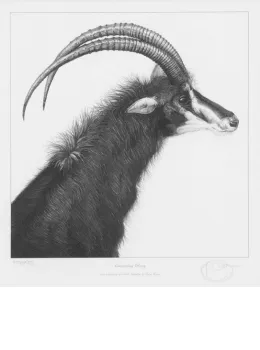 Crowning Glory - Mounted