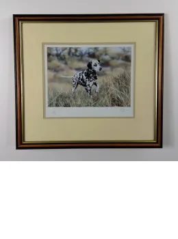 Dalmatian - Brown Framed