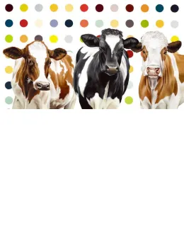 Damiens Herd - Box Canvas