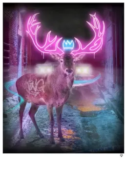 Deer In The Headlights - Mounted