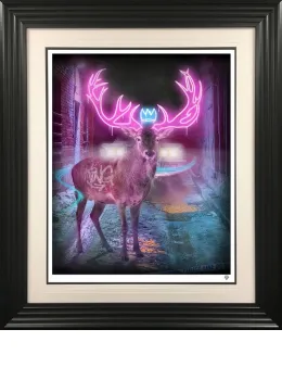 Deer In The Headlights - Framed